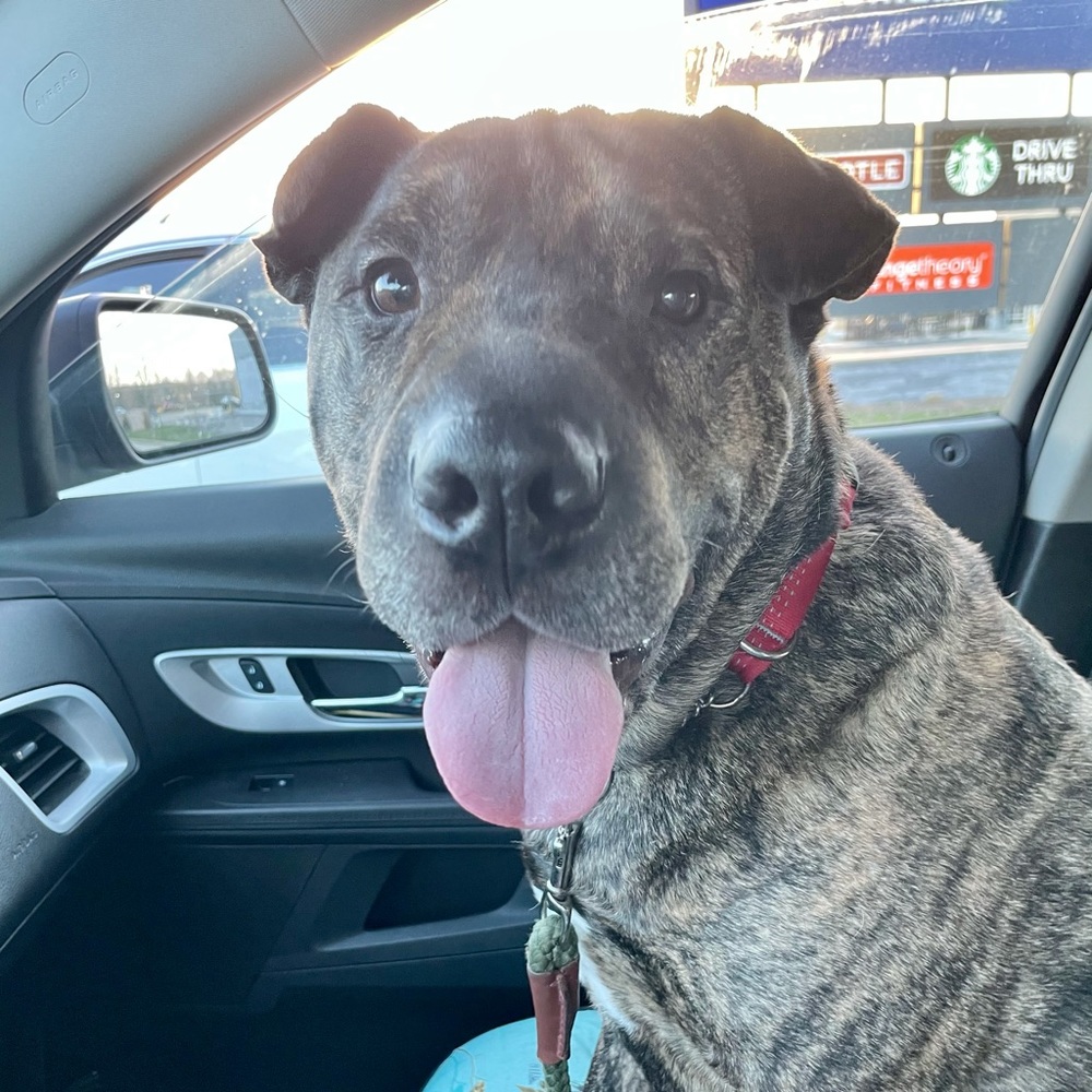 Meet your Posher, Chelsie